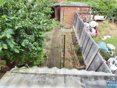 Picture 16